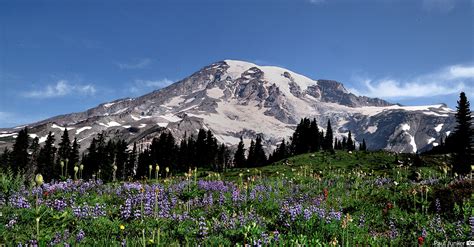 mt rainer webcams|Mt. Rainier Webcams & Weather